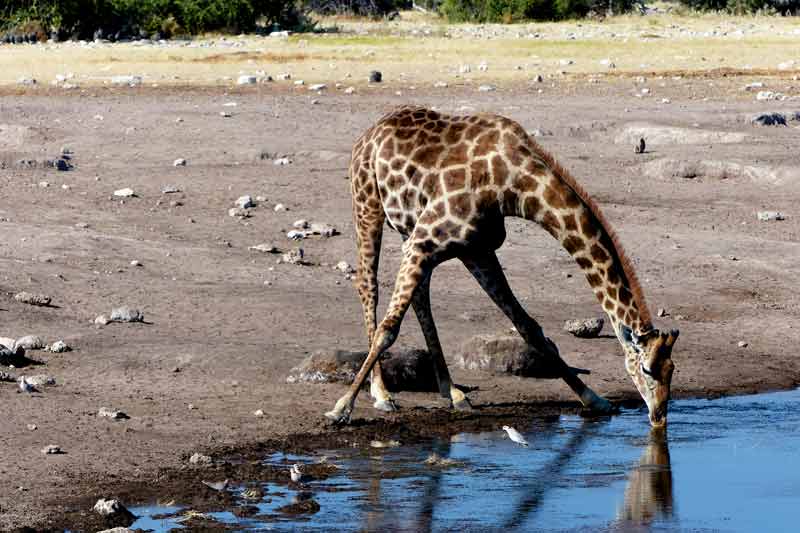 Namibia
